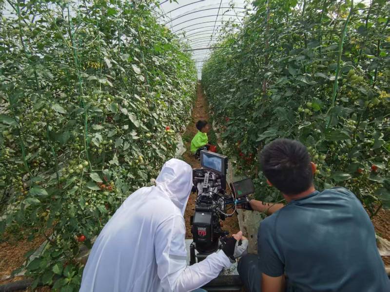 武胜县产品宣传视频拍摄公司进阶指南，助力品牌抢占传播高地